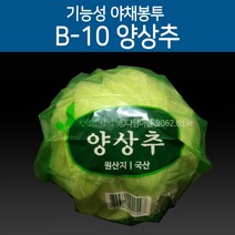 기능성 포장 야채봉투 양상추봉투 B-10 200장