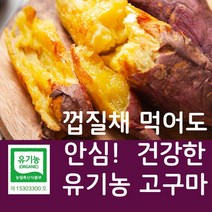 전라도 유기농 고구마 무안 황토 달수 꿀밤 토올 고구마, 한입(50g이하/개당) 3kg
