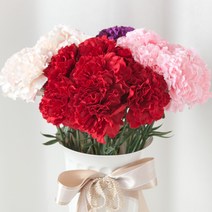 어버이날 카네이션 FF 조화 꽃 부쉬 번들 모음 1, F08.7대카네이션번들o 41cm, (사은품제외), 퍼플(7개입)