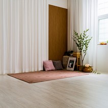 먼지없는 물세탁가능 도톰한 사계절 거실 사각 원형 러그 카페트