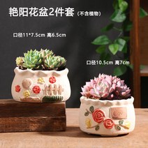 망포트 이색포트 달항아리화분 토분 사각 플라스틱화분 텃밭 원형 인테리어 395ea2, 도자기, 햇살 화분 2종 세트