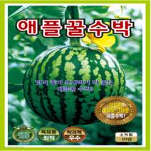 [OK씨앗] [[수박] 애플꿀수박(10립)] 수박씨앗 종묘 묘종 씨앗 채소씨앗 꽃씨앗(KS종묘)