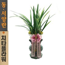 치타플라워 동양란 황금채홍 [CD06-012] 승진 개업 축하 난 동양난 영전 취임 생일 선물 화분 고급 란 전국 당일 배송 꽃배달
