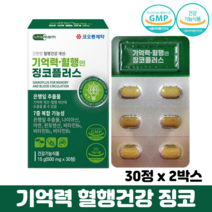 징코플러스 정 기억력 혈행 개선 아연 비타민B 식약처인증 뇌건강 은행잎추출물, 2박스, 징코 30정