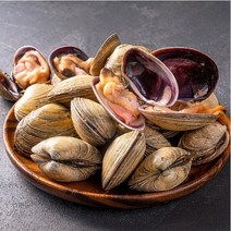 국내산 대합 500g 자연산 생물 개조개