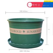 ZZJJC 화분 대전다육플라스틱 특대호 월계다육분재 화분수지갤런 화분, 왜소2호[구경20cm]2개입, 화분받침(비료 보내기+뿌리가루)함유