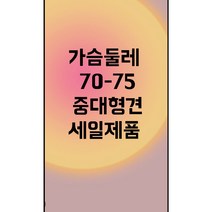 프리독 (당일발송) 가슴둘레 70-75 세일제품 봄 여름 가을 겨울옷 대형견옷 중형견옷 리트리버 래브라도 사모예드 허스키 도베르만 시바견 진돗 웰시코기 보더콜리 옷, 블랙피카츄