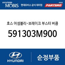브레이크 부스터 호스(버큠호스) (591303M900) 제네시스 뉴 에쿠스