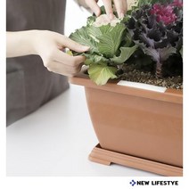 텃밭 화분 홈가드닝 옥상 베란다 상추 고추 사각 화분 플라스틱, 블랙