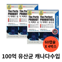 유산균 캡슐 프로바이오틱스 CFU 100억 보장 식물성캡슐 프리바이오틱스 프롤린, 60정, 30.6g, 4박스