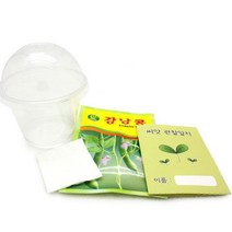 4인용 강남콩키우기 화분만들기 씨앗 새싹 +관찰일지 6살 셀프 저학년 학습용 초1