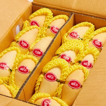 태국 골드망고 항공직수입 5kg 3kg 2kg 과일 선물세트 백화점 망고, 골드망고 5KG