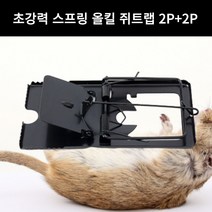 쥐덫 초강력 스프링 올킬 쥐트랩 쥐퇴치 2P+2P 2세트