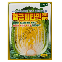 황금비타민 김장배추 씨앗 500립 베타카로틴과 루테인성분이 풍부한 가을배추 종자 다나씨드, 1개