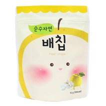 오가닉스토리 순수자연 과일칩 10개+1, 순수자연 배칩