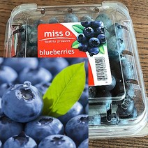 칠레 생 블루베리 생과 미국산 국산 생 블루베리 125g, 9팩