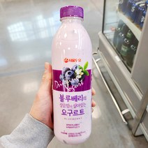 서울우유 블루베리 상큼 요구르트 750ml x 2개, 아이스보냉백포장
