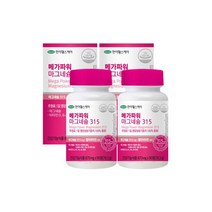 한미 메가파워 마그네슘 315 마그네슘영양제 2병 6개월분, 메가파워 마그네슘 315 마그네슘