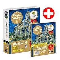 [개똥이네][중고-최상] 시나공 정보처리기사 실기(산업기사 포함) (2013)