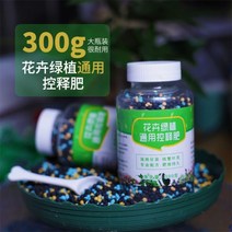 조립식온실 베란다비닐하우스 농자재 비료살포기 300g 병 전문 꽃 비료 고질소 수용성 식물 식품 분지의, 01 black