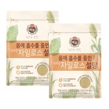 백설스위트리 자일로스 갈색설탕, 1kg, 2개