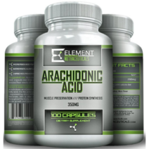 Element 아라키돈산 아리키돈산 350mg 100정 Arachidonic Acid