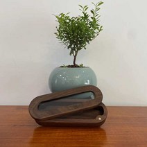 버키 고양이수염보관함 동물 발톱 털 수염통 치아, 직사각형 세로14.7cm 가로 4.2cm