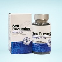 엔존 울퉁불퉁 힘나는 해삼환 건조해삼 기력회복, 120g, 1개