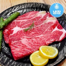 한성미트뱅크 한우 등심 구이용 300g 우시산한우 1등급이상 냉장, 1개