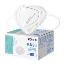 프로 진실한 톤업 페션 N9501F 레벨 보호 전자식마스크, 기본, T01-덕 KN95 개별표장12 상자x2 상자
