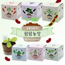 팜팜농장 모종키우기 6종 / 모종심기 씨앗 꽃 체험학습재료 원예체험, 당근