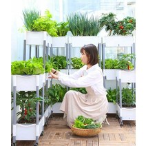 다단식 야채 화분 특수 선반 옥상 발코니 실내 정원, D202 3단 B형