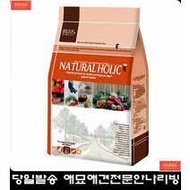 건강한이빨관리돕는영양만점소고기간식 도베르만사료 애견사료순위 웰시코기사료추천