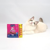 희동이네 고양이간식 기호성 부드러운 져키 고양이 간식 비타크래프트 캣스틱 대구 코어피쉬 3+1 (21819) 유통기한 23년3월, 5개