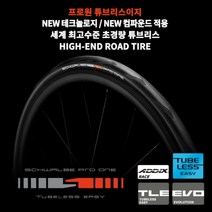 슈발베 프로원 TLE 튜블리스 이지 로드 타이어