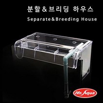미스터 아쿠아 브리딩 하우스 (L)외부격리 부화통 분할 브리딩하우스