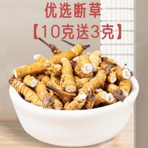동충하초 정품 순수 티베트 통통 건강식품 한방 재료, 10g에 3g