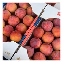 새콤달콤 제철 자두 중과 2kg 대석 후무사 도담 대왕 추희 농수산대사관