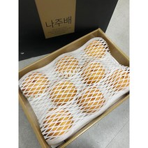 나주 햇배특상 원항 선물용배5kg/7.5kg/15kg, 1박스, 나주 햇배 특품5kg (8-10과)