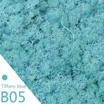 20g 40g 품질 인공 이끼 불멸의 이끼 시뮬레이션 녹색 식물 잔디 홈 장식 벽 diy 마이크로 조경 액세서리, b05