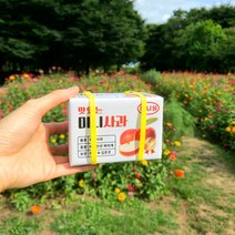 박스+머니홀더+미니어쳐과일세트구성 미니과일박스 미니사과박스, 고구마, 1개