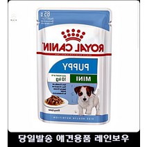 풀죽은강아지활동성증가 강아지좋은사료 강아지키우기 사료잘안먹는강아지 반려견사료