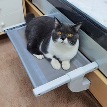 고양이 캣워커 윈도캣 선반 침대 사계절용 창문, 여름용 탈부착형 메쉬커버