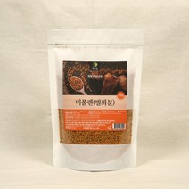 비플렌 벌화분 비플랜 꿀벌화분 먹는 꽃화분 500g, 비플렌(벌화분) 500g