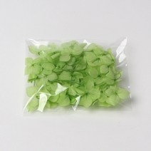 화연양화 프리저브드플라워 수국 1g 컬러최다 30색! 레진아트 캔들 하바리움 꽃재료, 10 페일그린