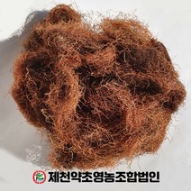 국산 옥발 옥수수수염 제천약초영농조합, 1, 500g