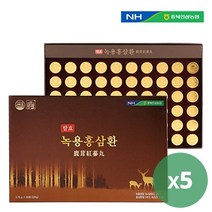 농협 발효녹용홍삼환 3.75g X 60환 5박스, 60개