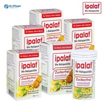 이팔라트 Ipalat 목캔디 무설탕 쉰목 기침 40정 독일직배송, 6통