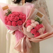20송이 비누꽃 카네이션꽃다발, 레드