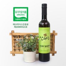 수세미 효소 발효액 유기농 이의영 산야초 효소 500ml